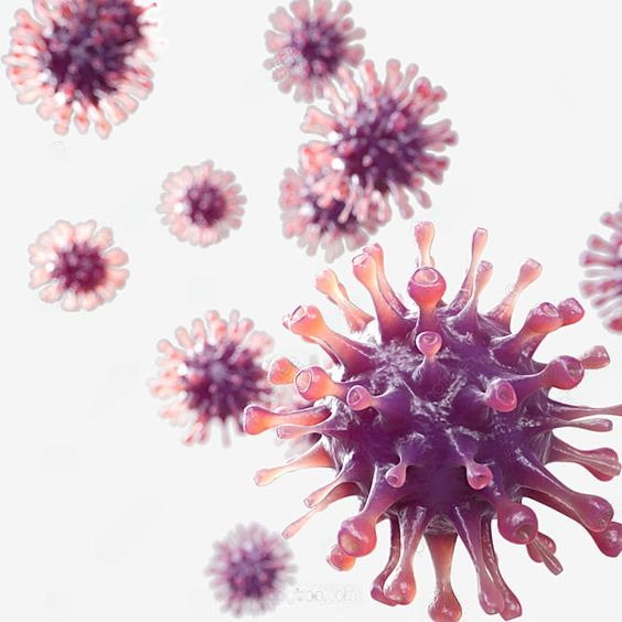 Фото с сайта ru.pngtree.com