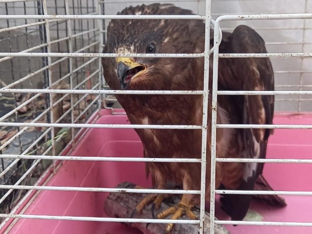 Фото: Виктория Владимировна