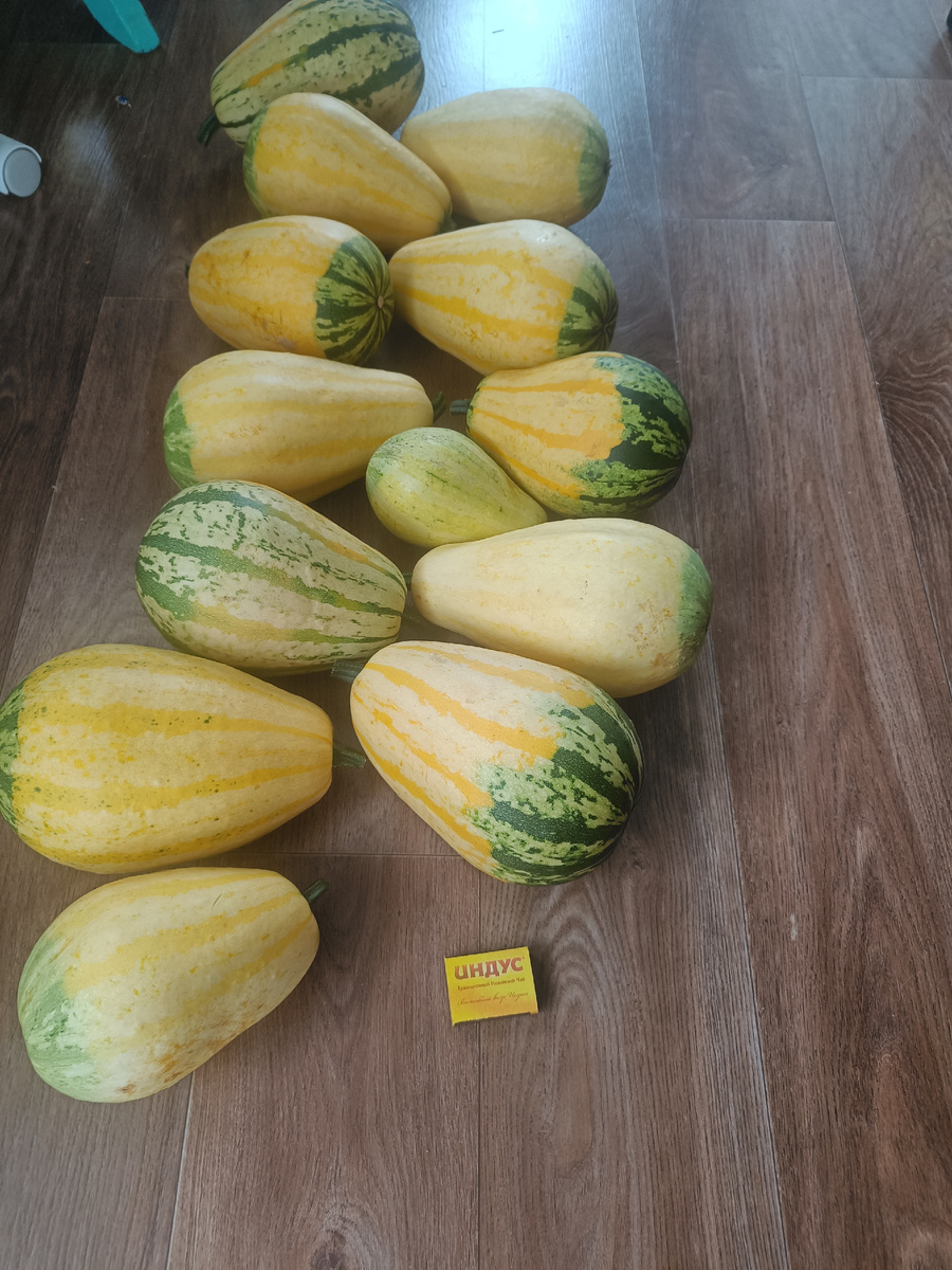 Декоративные??? тыквы.