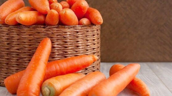    Как сохранить до весны собранный урожай моркови: советы экспертов и лайфхаки Ирина Петрова