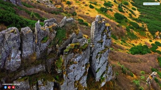 ЗВУКИ, КАК ЦВЕТОЧНЫЕ ПОЛЯ, РАСПУСКАЮТСЯ В ЯРКИХ КРАСКАХ И ДАРЯТ ЧУВСТВО СВОБОДЫ И ЛЕГКОСТИ!