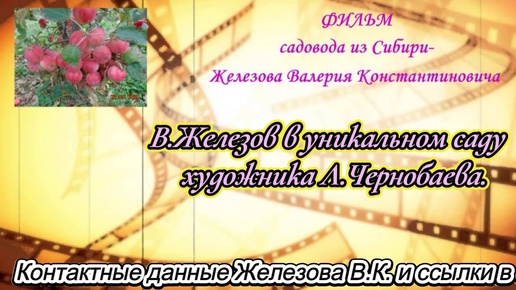 В. Железов в уникальном саду  художника Л. Чернобаева.