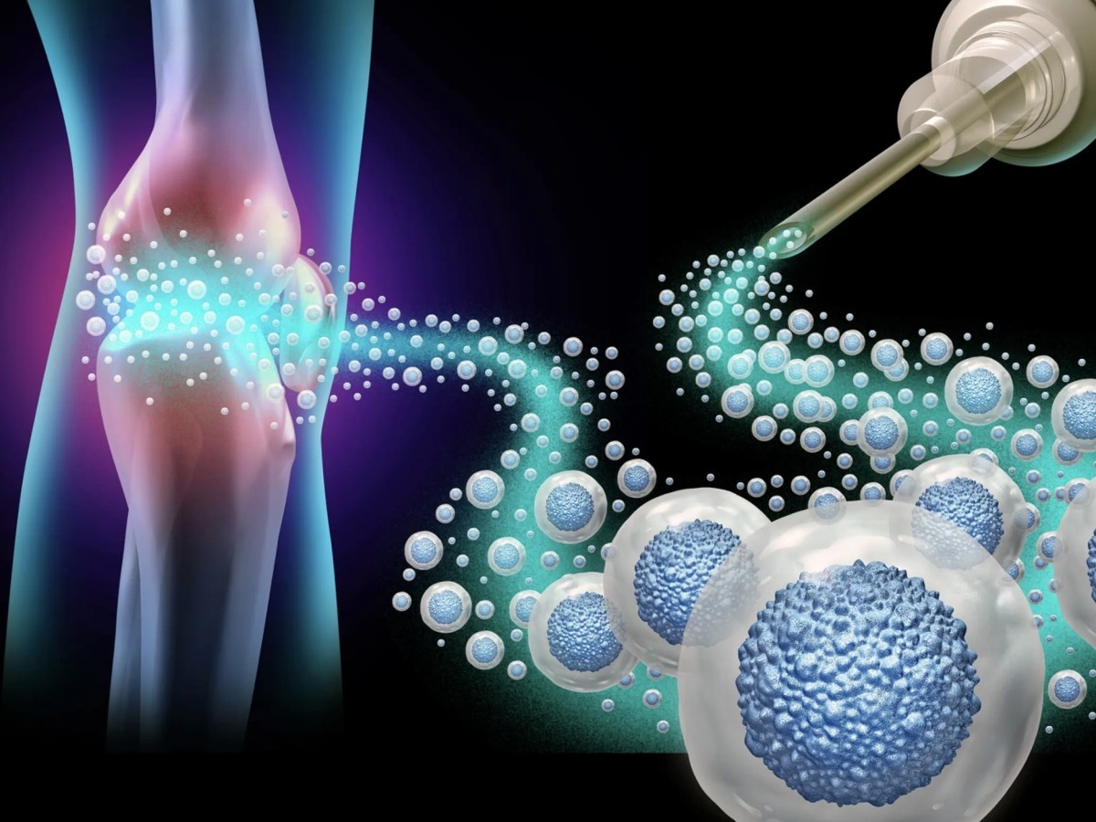    Инъекции иммунных клеток ускоряют заживление костей, мышц и кожи