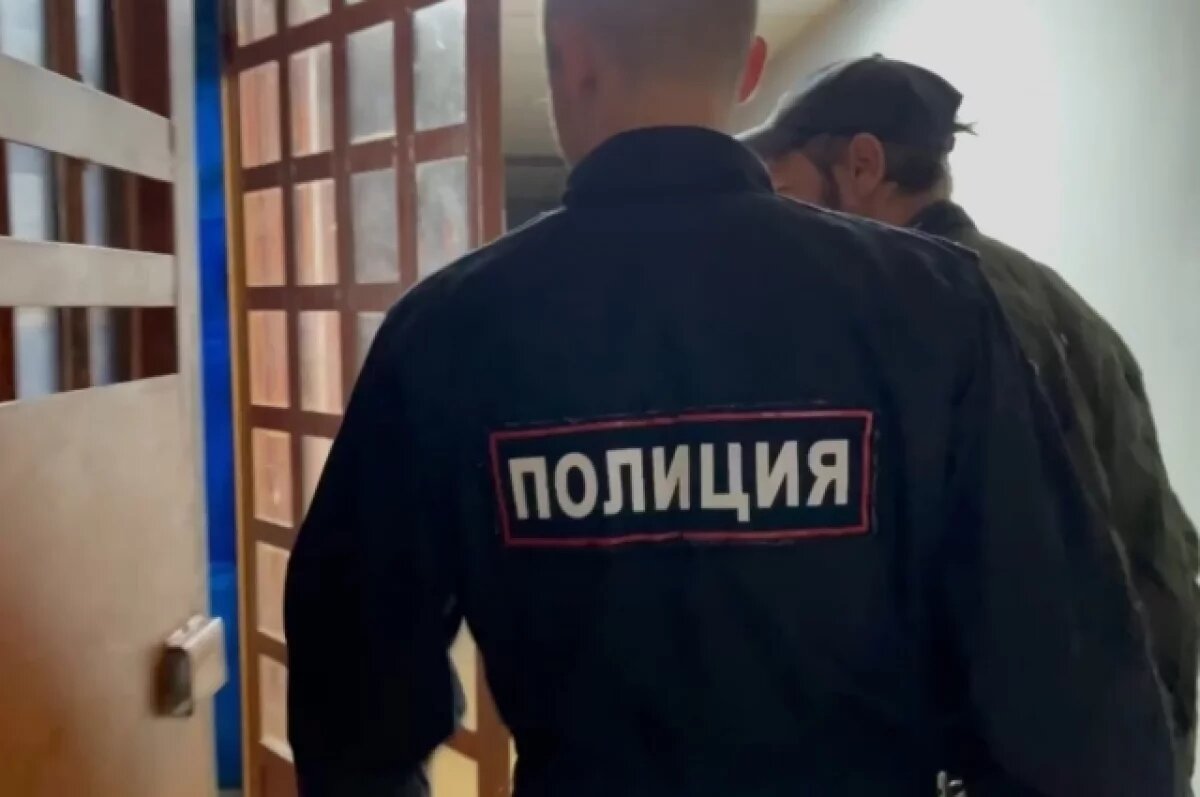    В Челябинске двое разбойников атаковали СНТ и ограбили 87-летнюю бабушку