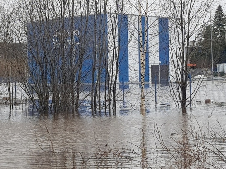   Пожар в лесополосе произошел на выезде из Петрозаводскапредоставлено "Фактор"
