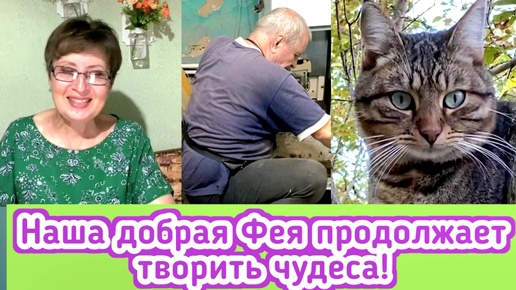 Наша добрая Фея продолжает творить чудеса! Продолжаем ремонт в котельной, освободила грядку от моркови, огород в полном порядке