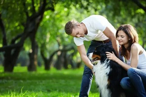 Фото из свободных источников для иллюстрации статьи 