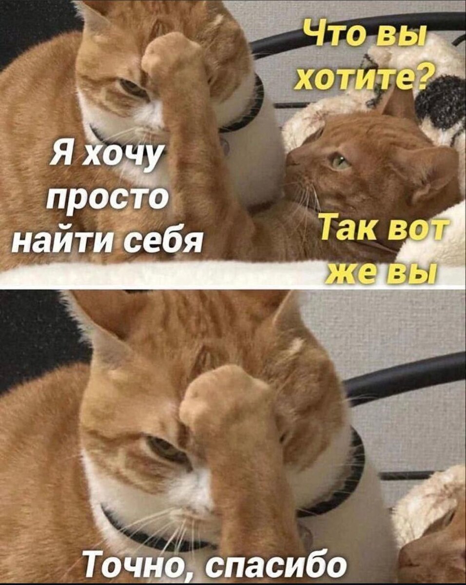 настроение какое-то такое)