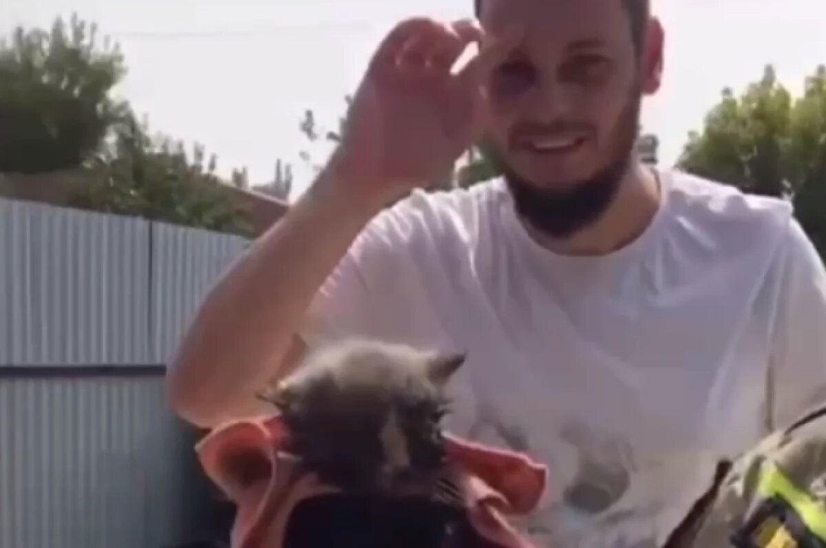    Пожарные из Чечни спасли упавшего в канализационную яму котёнка
