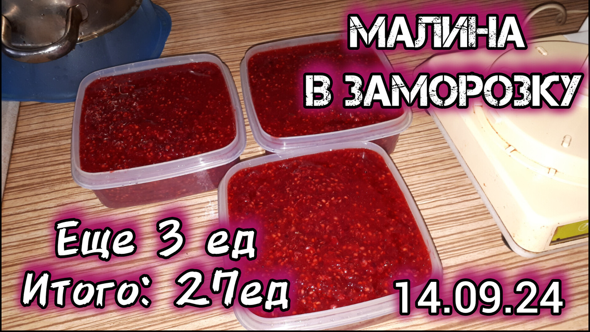 Малина 14 сентября