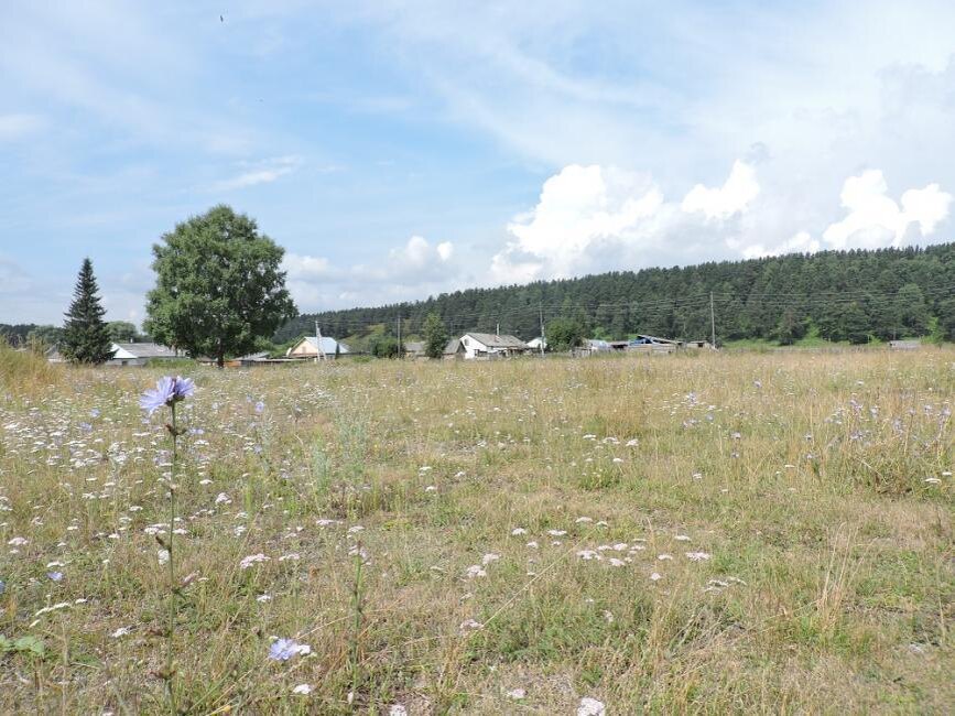    Село Усть-Чем . Фото Анны Зубаревой