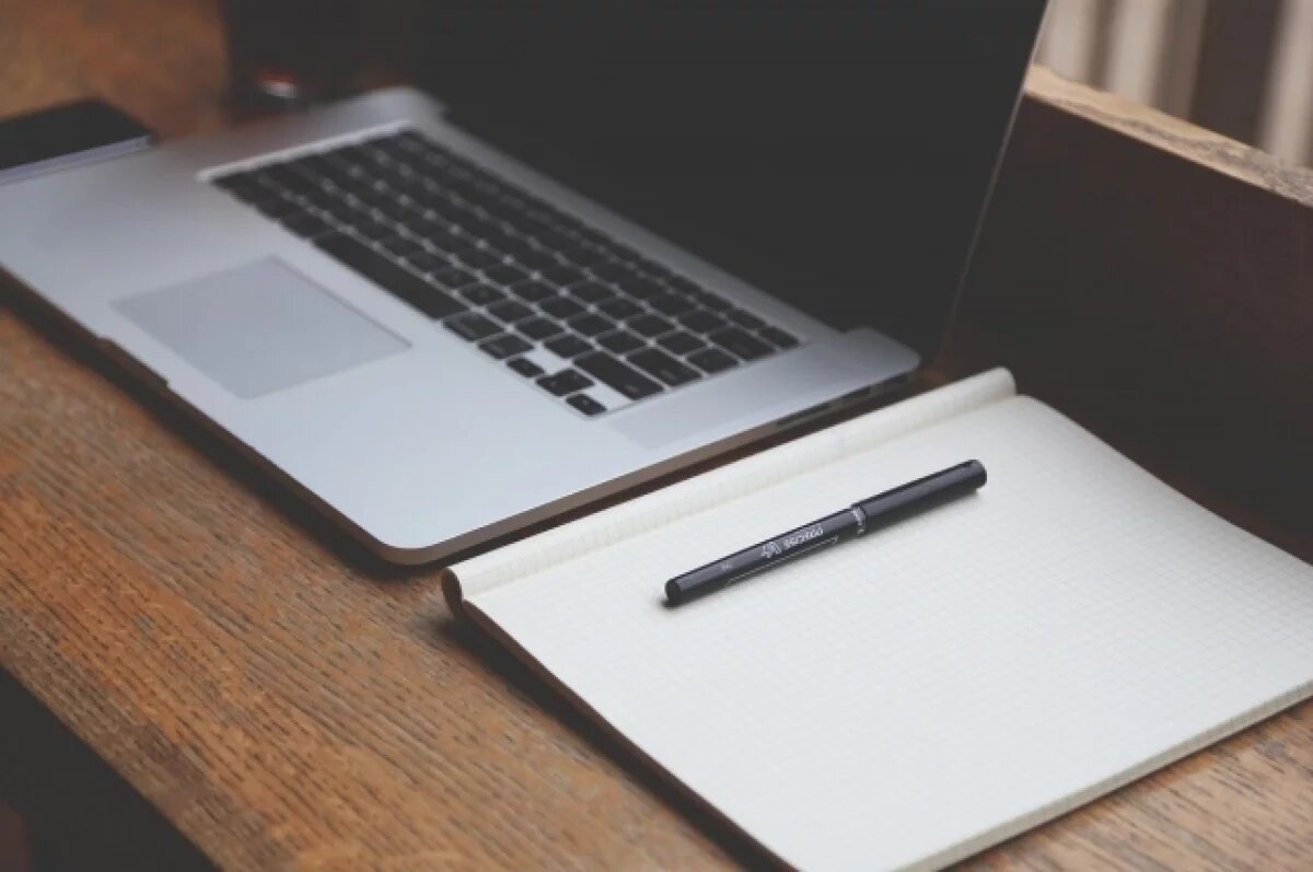    Жителя Ижевска подозревают во взломе аккаунтов на Госуслугах