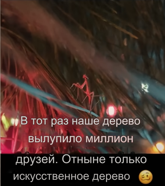 -2-2