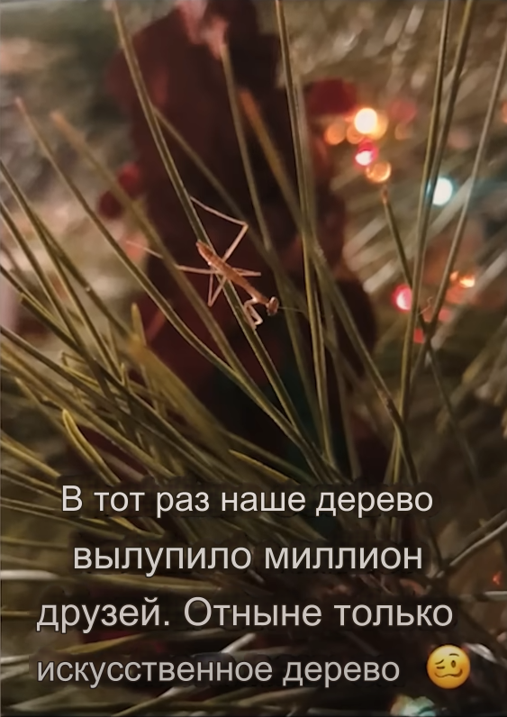 -2-3