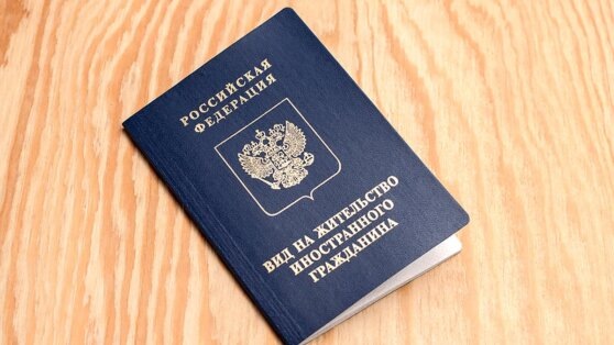    Временное убежище в РФ получили более 400 иностранцев из недружественных государств Алина Городниченко