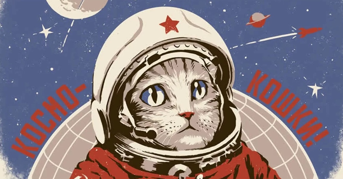 Космокошки и космокоты! Вперед, к звёздам! Изображение из сети