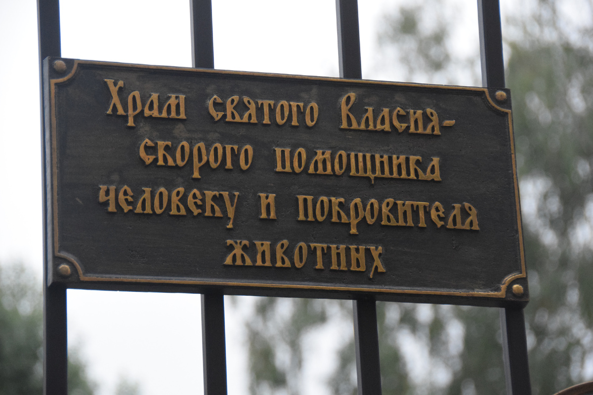 Фото автора канала "Приключения Тома Сойера".