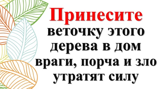 Video herunterladen: Секрет ведьм. Простой способ убрать всех врагов, зло, порчу, ругань и болезни из дома навсегда!