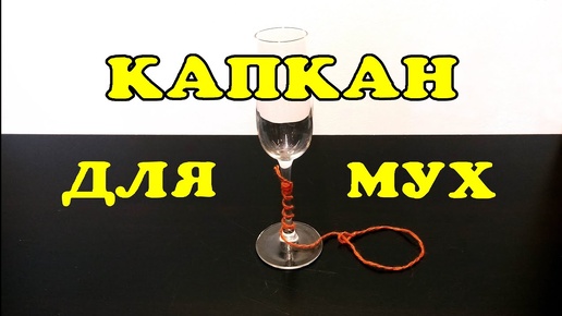 Капкан для мух.