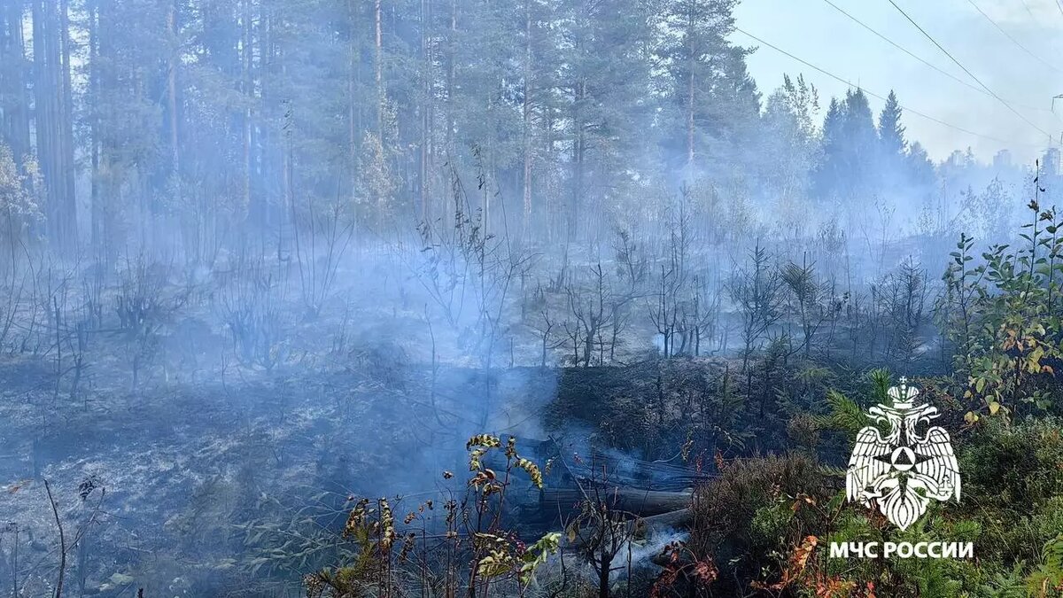     Источник: МЧС по РК