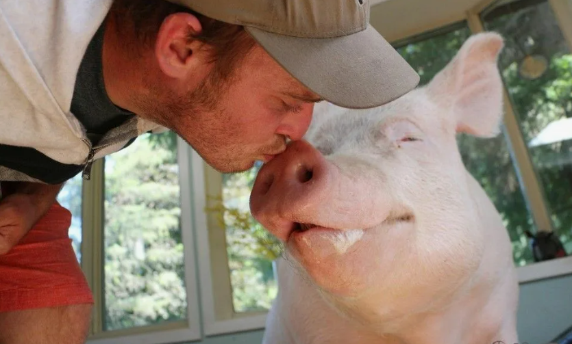 Мы с тобой одной крови....