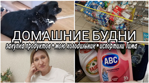 Video herunterladen: ✅ ХОЛОДИЛЬНИК в КРЕДИТ• ОГРОМНАЯ ЗАКУПКА ПРОДУКТОВ 🍆 🛒ЗАВТРА НА ПОДРАБОТКУ💃💃