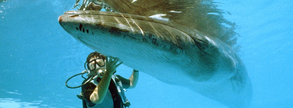 Брайди со специалистом в дайверском снаряжении