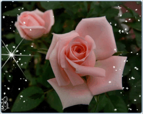 Доброго дня! Солнечных дней!