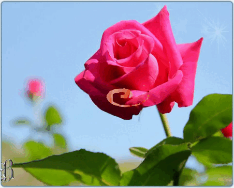 Доброго дня! Здоровья и любви!