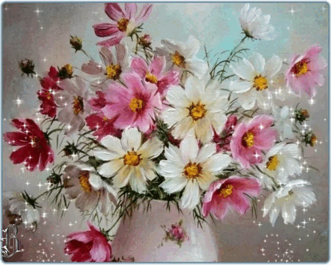 Доброго дня! Время нежных космей.