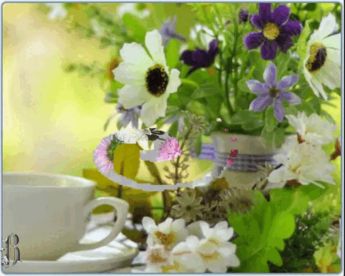 Доброго дня! Тепла и солнца.