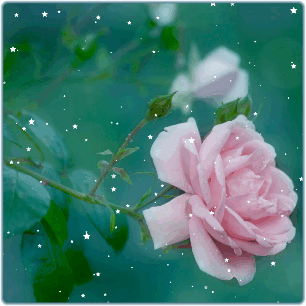 Доброго дня! Прекрасные розы!