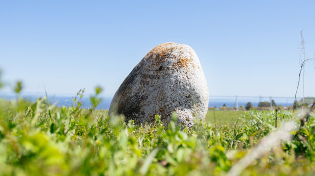    Институт развития городов Татарстана