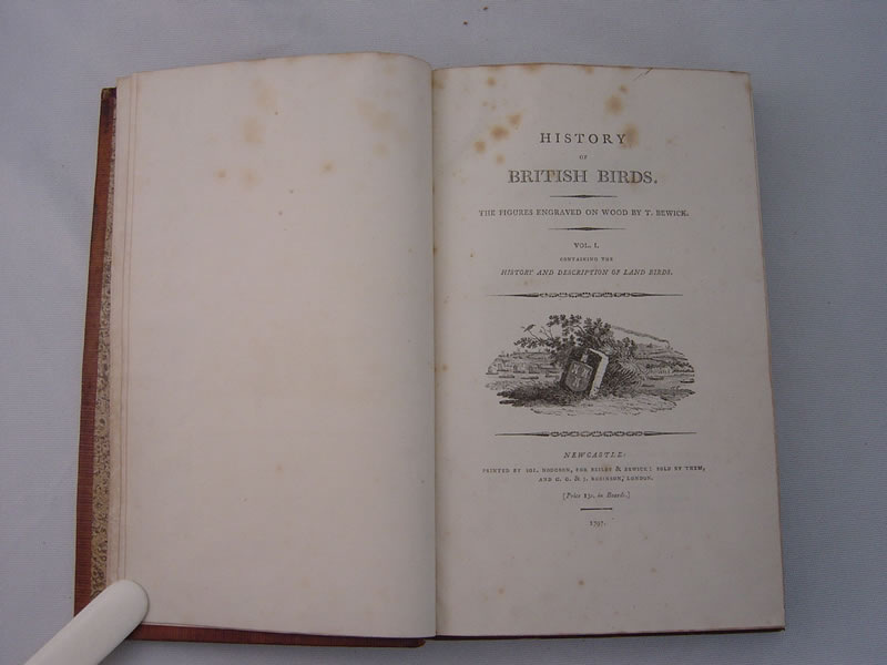 Жизнь английских птиц. Издание 1805 год, текст описывает и места обитания пернатых и их повадки