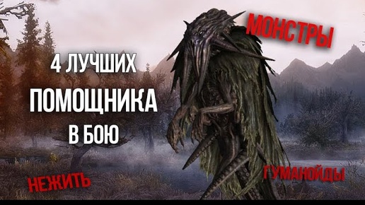 Skyrim 4 ЛУЧШИХ ПОМОЩНИКА В БОЮ! Самые сильные монстры и последователи (не компаньоны)