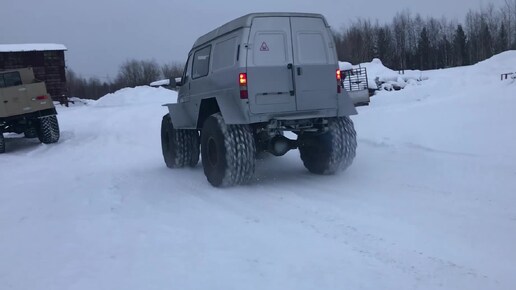 Зырянин в кузове соболя.