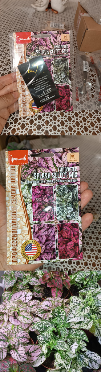 Яркие листочки