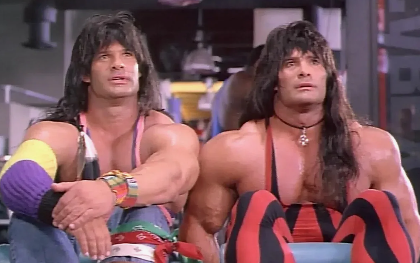 Спустя 30 лет. Что стало с близнецами из фильма «Няньки»