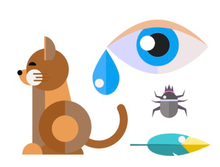 Язва роговицы - дефект роговицы с разной глубиной поражения (вплоть до прободения - перфорации).