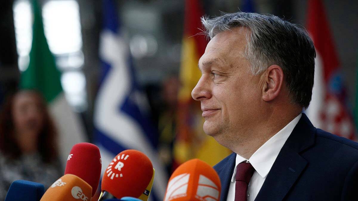    Фото: shutterstock