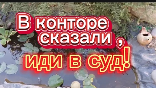 Сходила в контору СНТ. Сказали подавать в суд. Оксана уезжает на вахту.