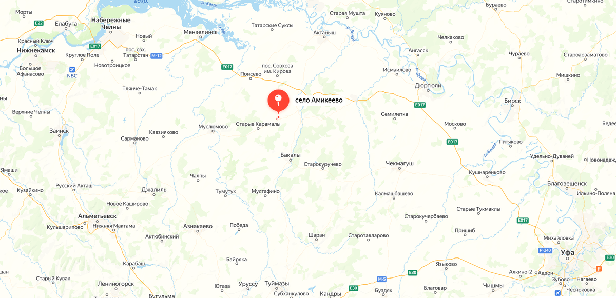 Село Амикеево в Муслюмовском районе Татарстана