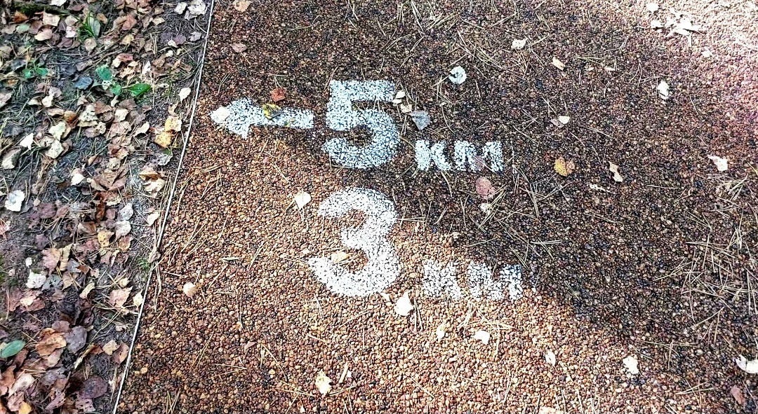На 5 км я не согласилась))