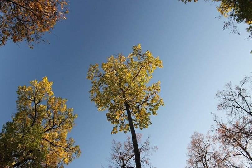 Фото: ® UfacityNews.ru