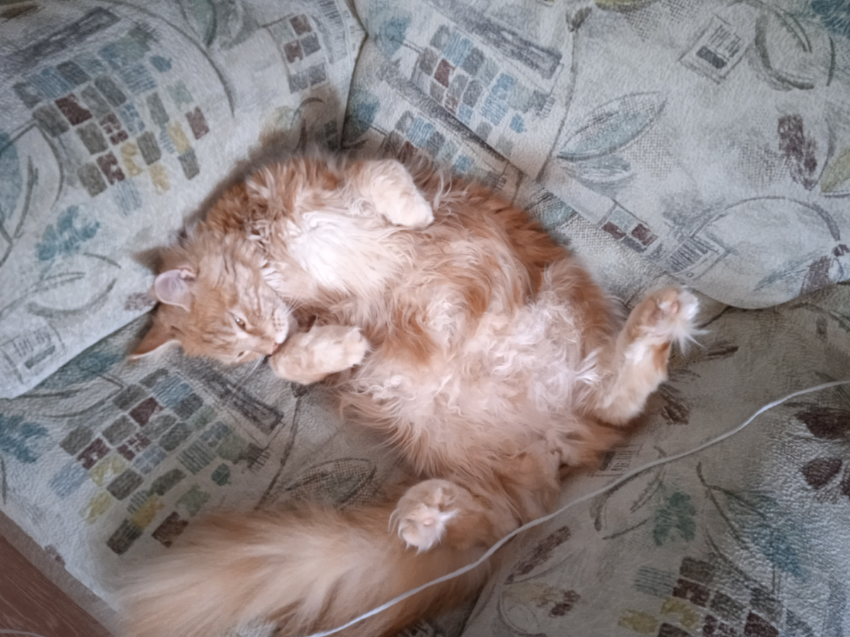 Лёгкий дневной сон