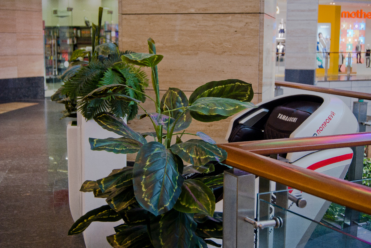 Массаж спины