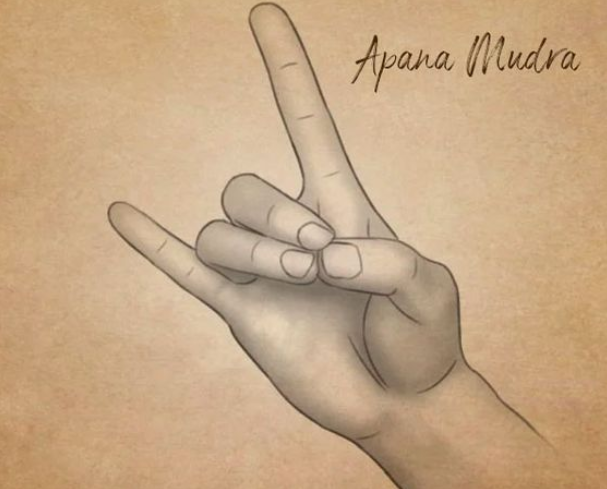 Изображение: pinterest.com