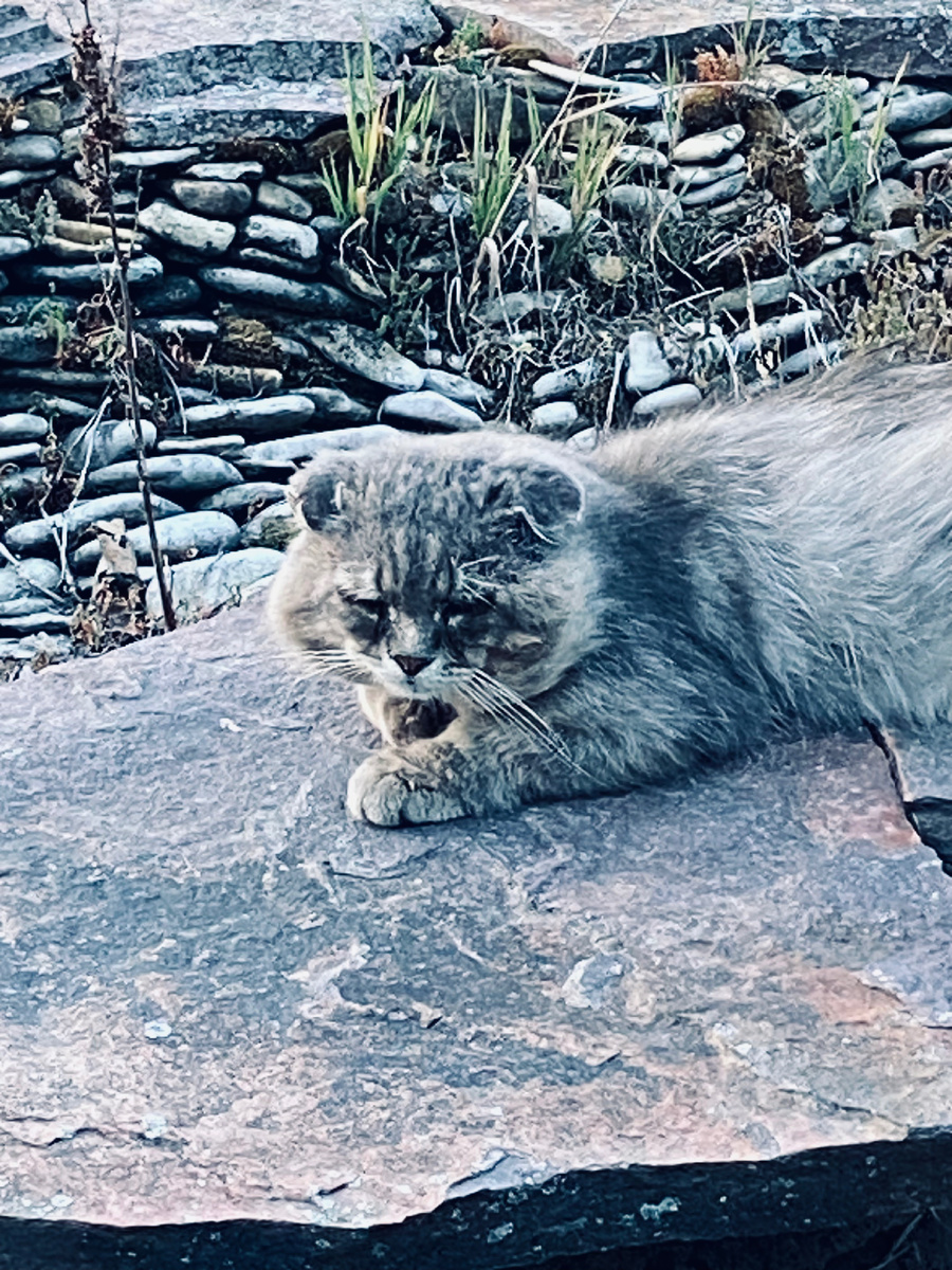 Ух, как я зол!