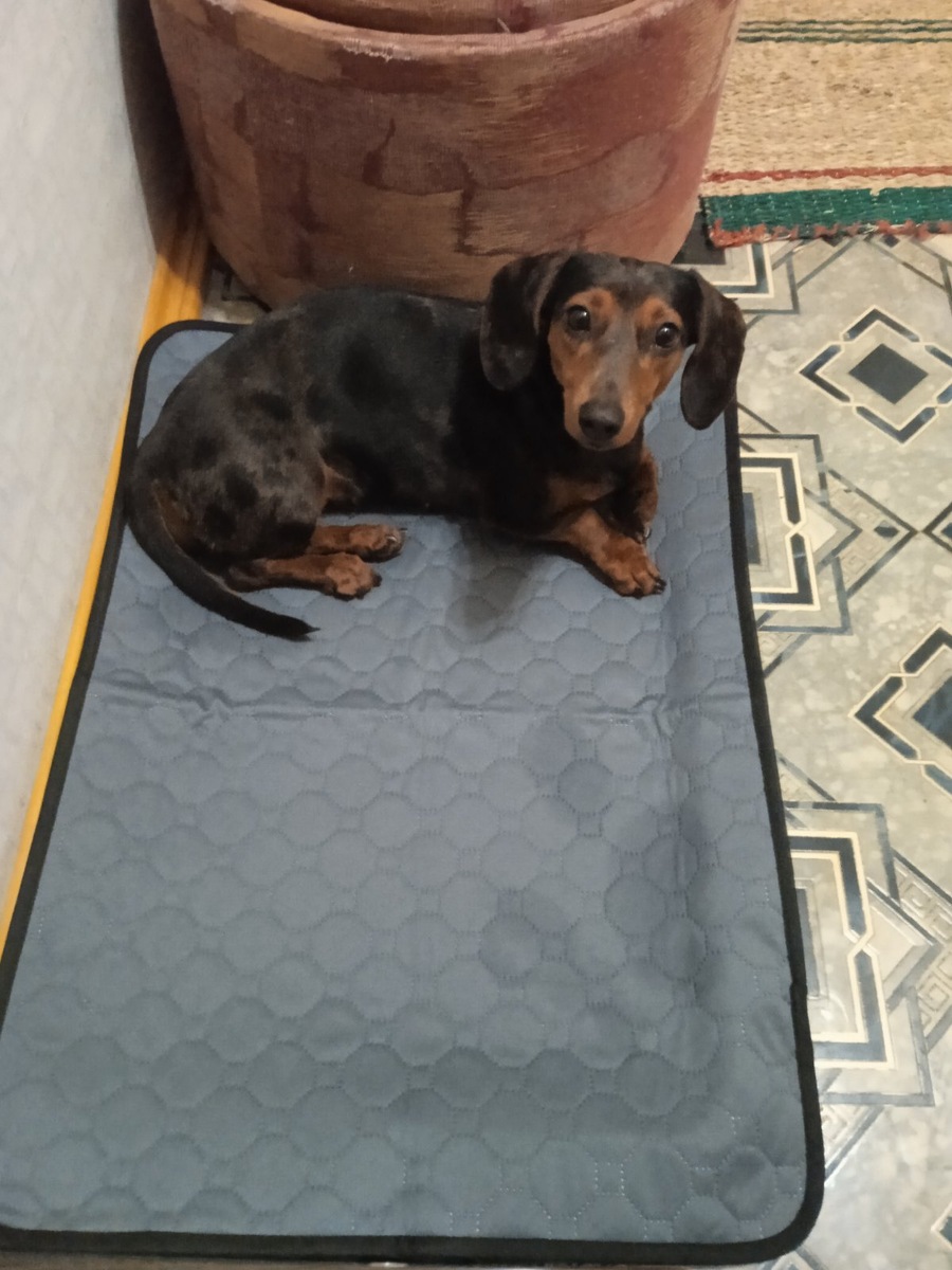 Наша красавица