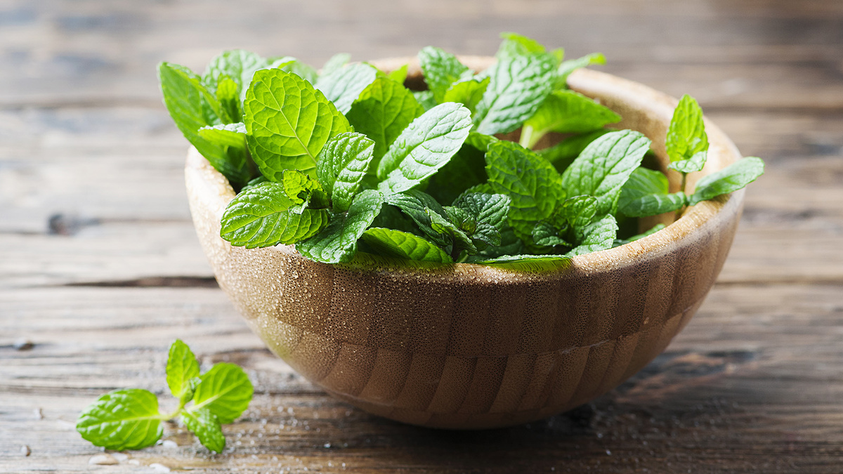 Фото из сети